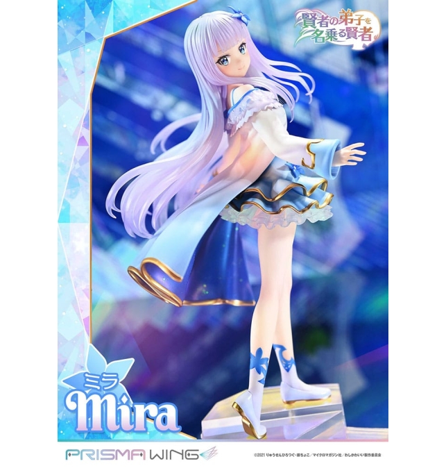 (PRE-VENTA) FIGURA She...